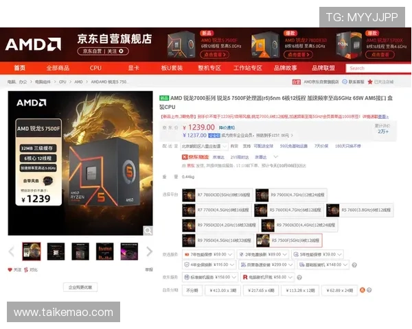 海洋之神正规网址导航，确保玩家安全畅玩游戏的官方入口及相关注意事项