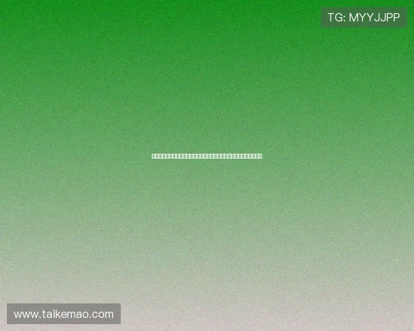 澳门凯旋门租赁适用场景分析，商务活动、婚礼拍摄及旅游留念最佳选择